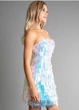 Load image into Gallery viewer, Snow Dress
